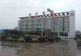 香蕉视频APP官网网